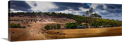 Scenic view of field against cloudy sky, Western Australia, Australia