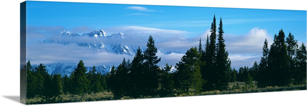 Scenic view of Teton Range, Grand Teton National Park, Teton County, Wyoming, USA.