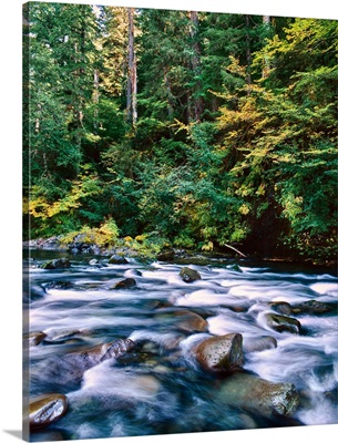 Scenic view of the North Santiam River flowing, Willamette National Forest, Oregon