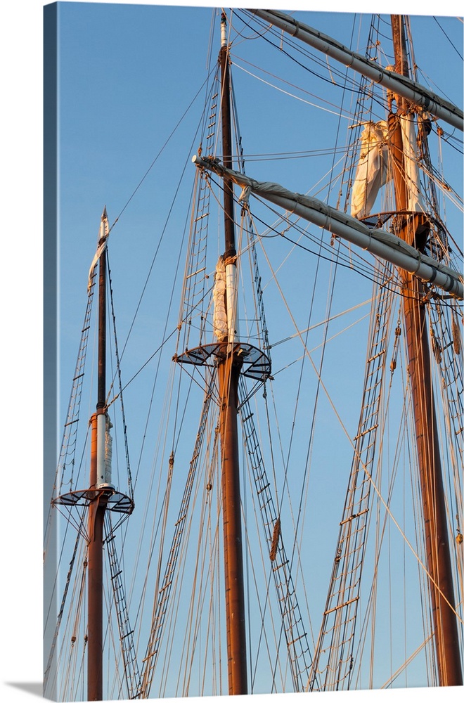 Schooner masts, gloucester schooner festival, cape ann, gloucester, massachusetts, USA.