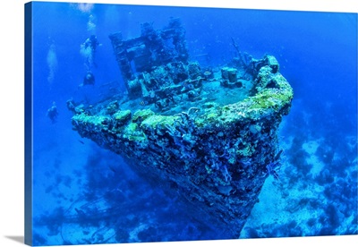 Scuba divers swimming near Jane C Shipwreck in sea, Aruba, Caribbean