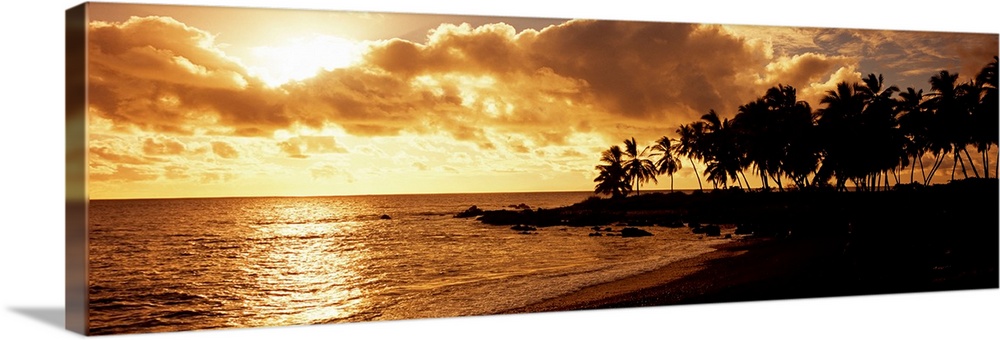 A panoramic photograph of palm trees lining the shore of a tropical beach as the sun sinks behind the clouds.