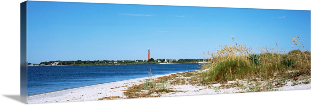 Sea oat grass on beach with Ponce de Leon Inlet Lighthouse in the background, Smyrna Dunes Park, Volusia County, Florida, USA