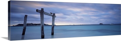 Seascape, Hamelin Bay, Western Australia, Australia