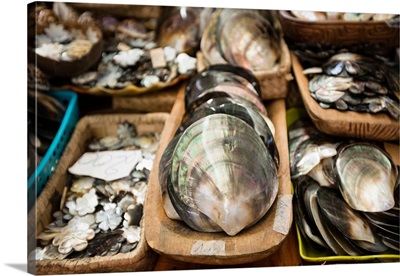 Seashells at market, Tahiti, French Polynesia