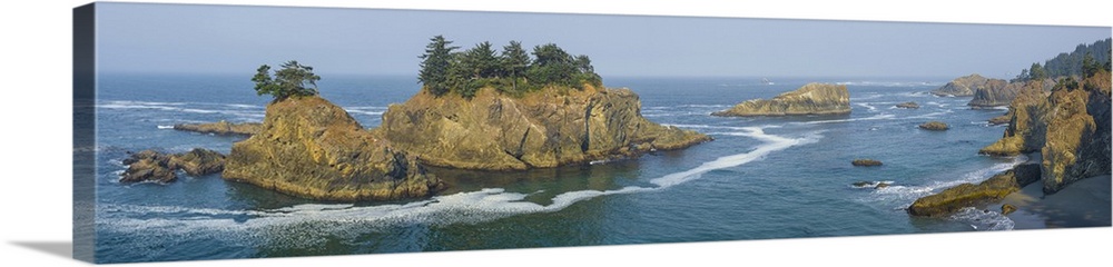 Seastacks and flagged trees seen from Thunder Cove on the Pacific Coast, Brookings, Curry County, Oregon, USA.