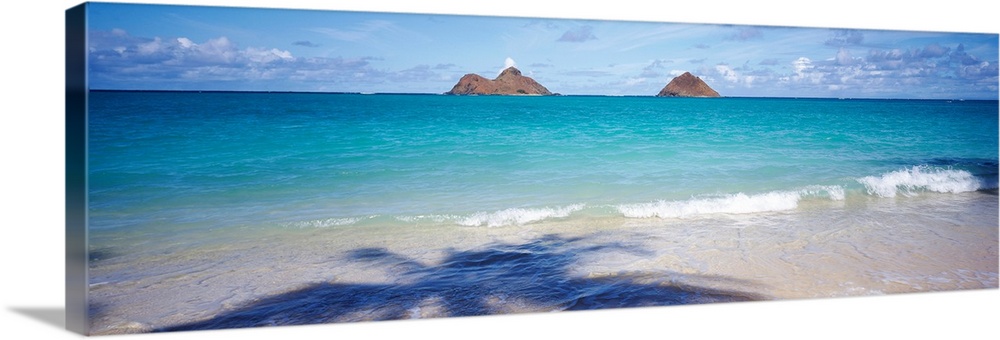 Panoramic landscape photograph of a tropical beach with the silhouette of a palm cast on the shore.