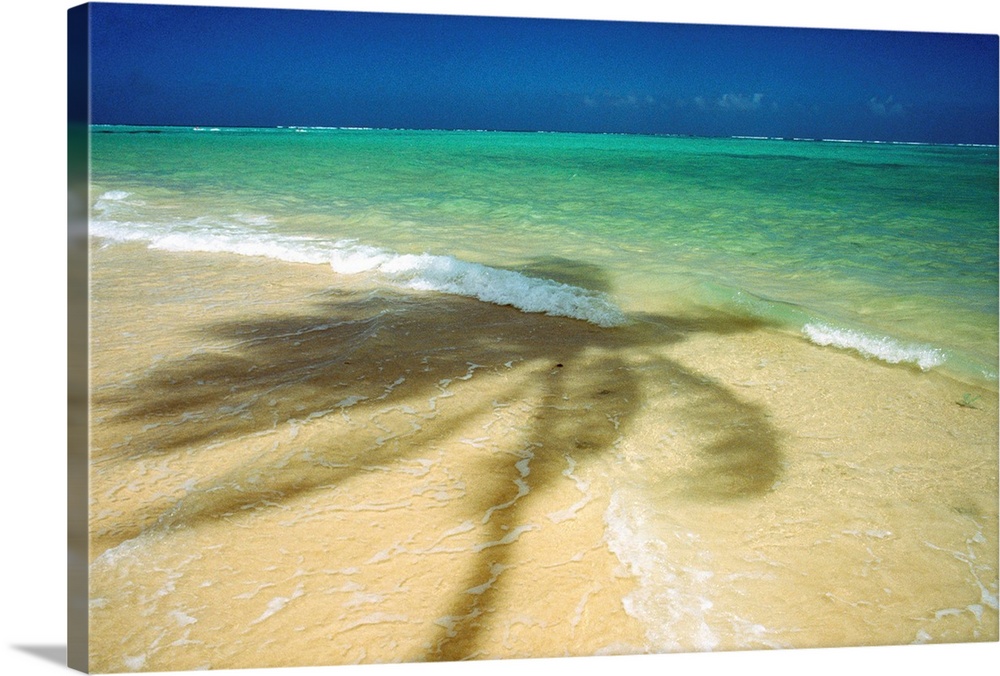 Shadow of palm tree on the beach