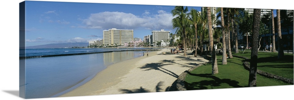 Shadow of palm trees on the beach, Waikiki Beach, Waikiki, Oahu, Hawaii