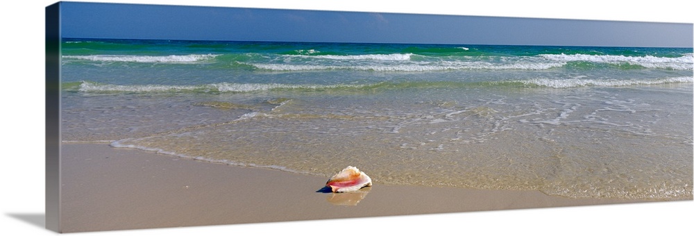 Long panoramic photo of a big shell on the shore of a beach with crashing waves in the background.