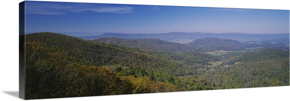 Panoramic view of the sprawling forest over the hilly landscape of Virginia on a clear, sunny day.