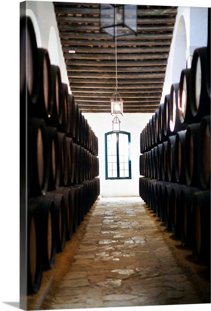 Sherry casks in a winery, Gonzalez Byass, Jerez De La Frontera, Cadiz Province, Andalusia, Spain