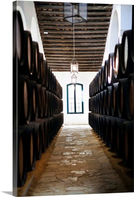 Sherry casks in a winery, Gonzalez Byass, Jerez De La Frontera, Andalusia, Spain