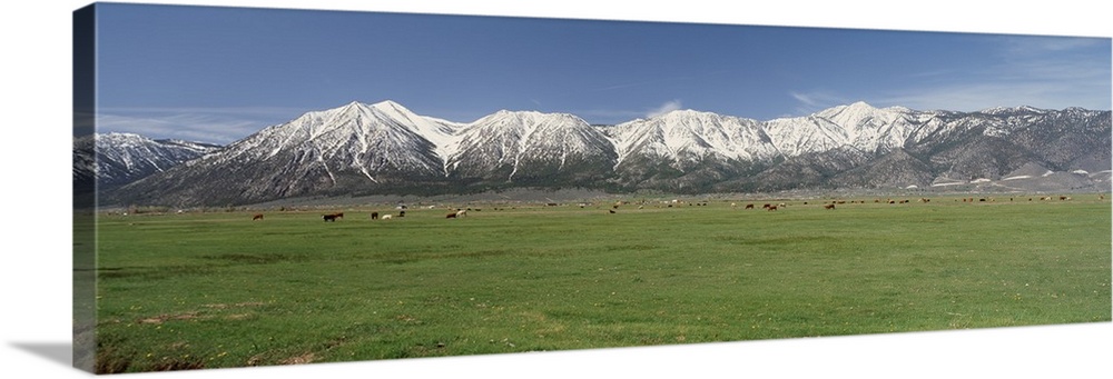 Sierra Nevada Range NV