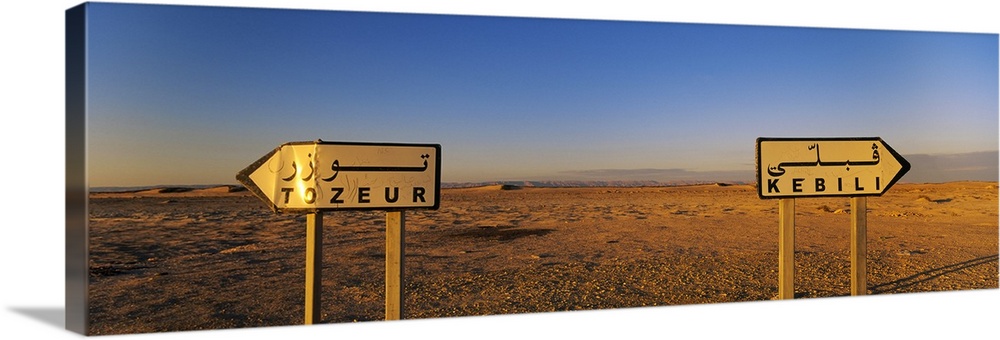 Signboards on a landscape, Douz, Tunisia