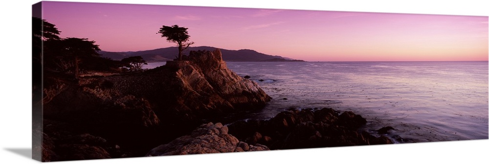 Landscape photograph on a large wall hanging of a silhouetted cypress tree on the edge of a rocky cliff near the water, ne...