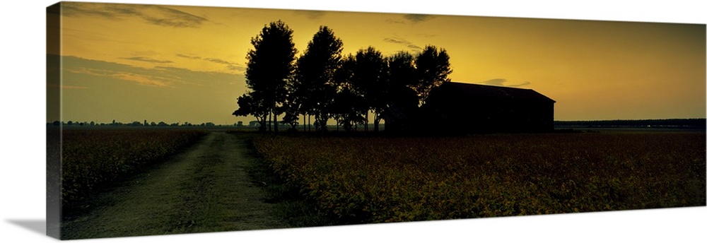 Silhouette of a farmhouse at sunset, Polesine, Veneto, Italy