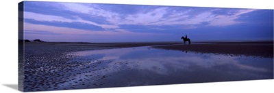 Silhouette of a horse with rider on the beach at dawn Camber Sands Camber East Sussex England