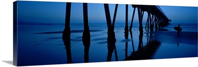 Silhouette of a pier, Hermosa Beach Pier, Hermosa Beach, California