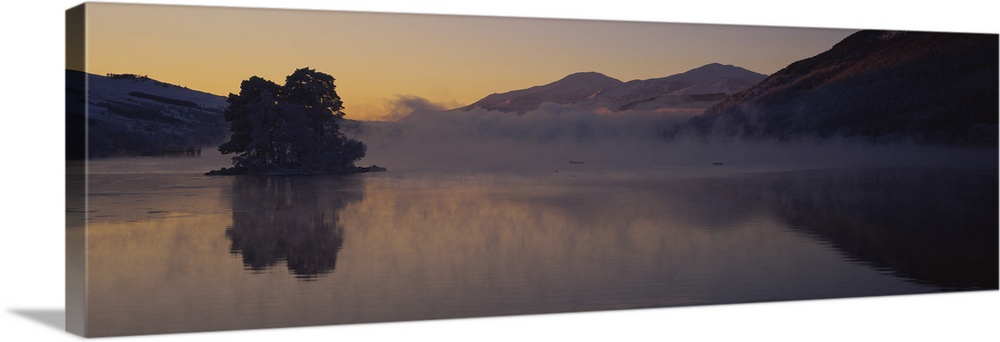 Silhouette of a tree in a lake, Loch Tay, Tayside region, Scotland
