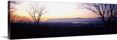 Silhouette of bare trees on a landscape, Catskill, New York State