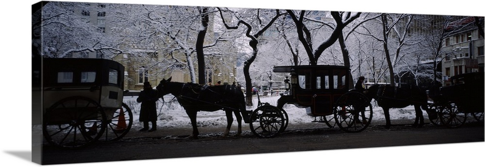 A row of vintage carriages and horses with their drivers, parked at the edge of a street next to a snowy park in the winter.