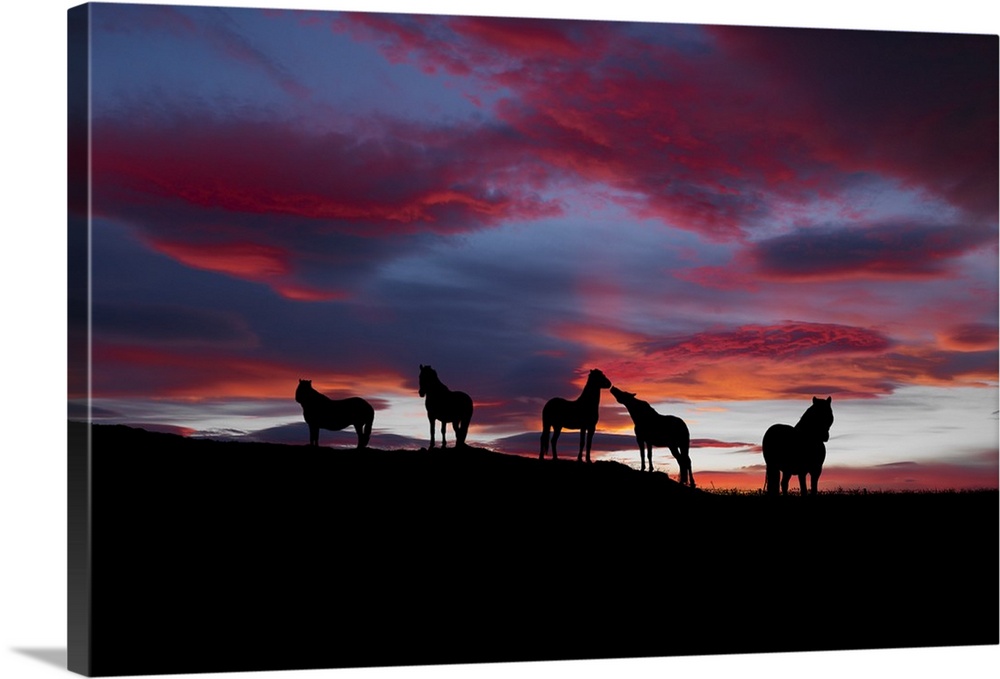 Five horses stand together on the ridge of a hill at sunset in this landscape photograph.