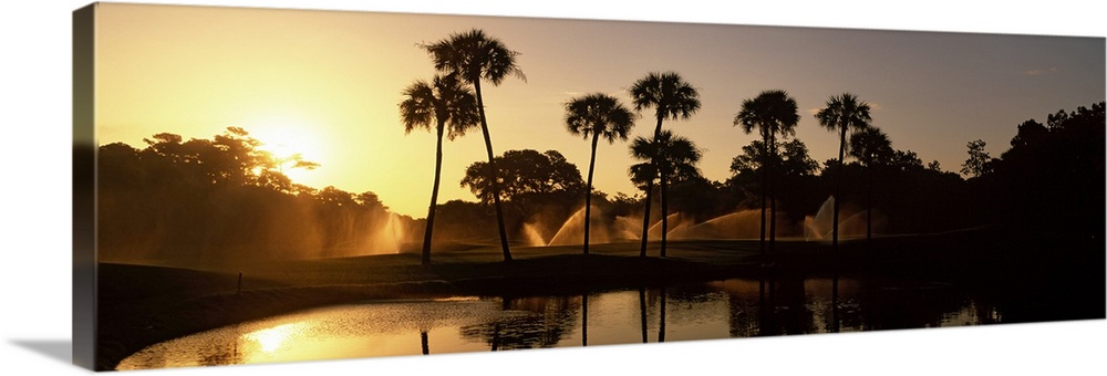 Panoramic wall art of palm trees on a golf course silhouetted against a rising sun with sprinklers going off in the distance.