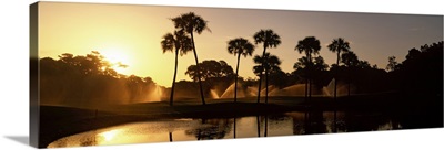 Silhouette of palm trees at sunrise in a golf course, Kiawah Island Golf Resort, Kiawah Island, Charleston County, South Carolina