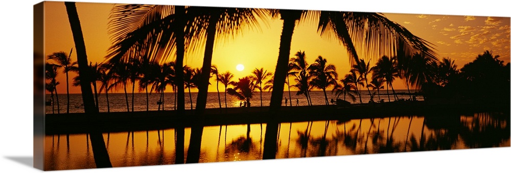 Silhouette of palm trees at sunset, Anaeho Omalu Bay, Waikoloa, Hawaii ...