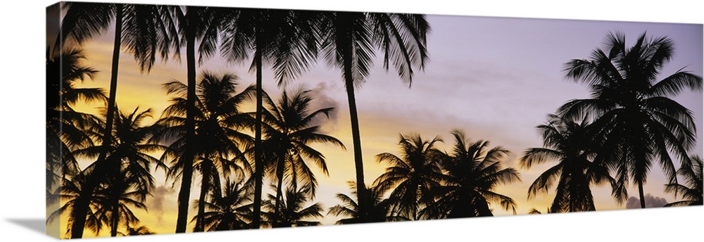 A decorative wall accent of tropical trees photographed a twilight on a panoramic shaped canvas.