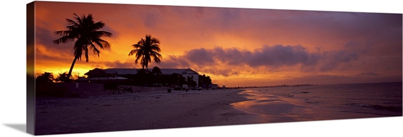 Silhouette of palm trees on the beach, Fort Myers Beach, Estero Island ...