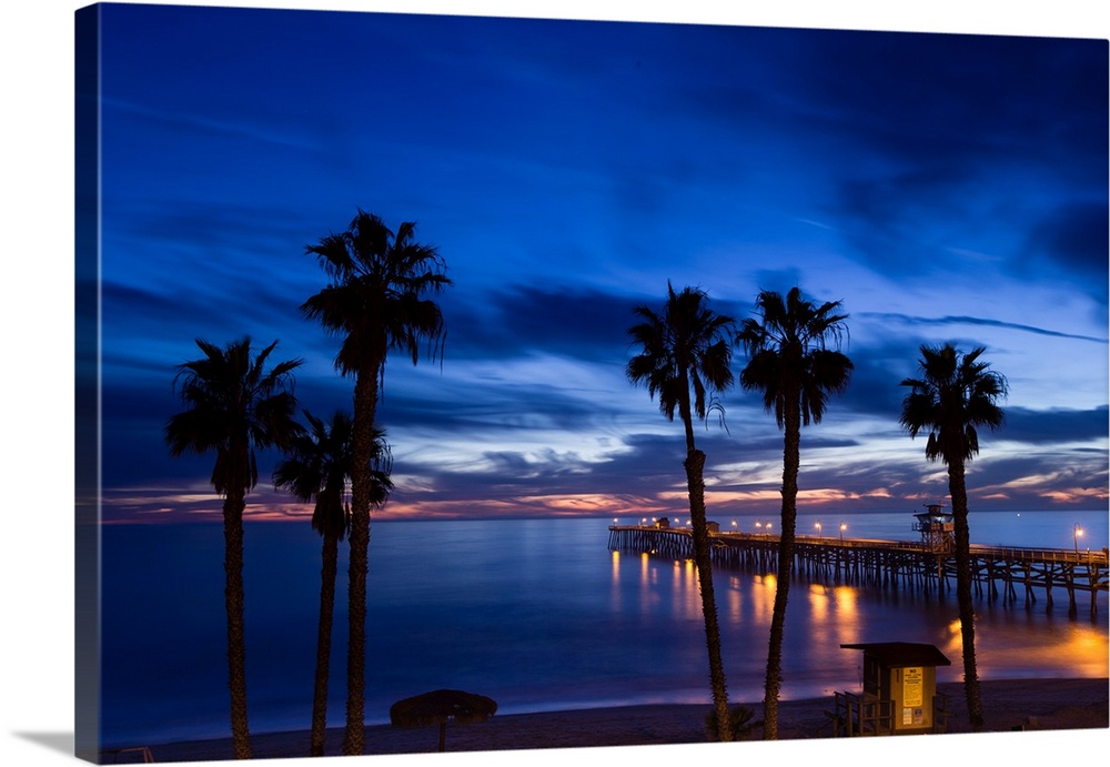 Silhouette of palm trees on the beach, Laguna Beach, California, USA