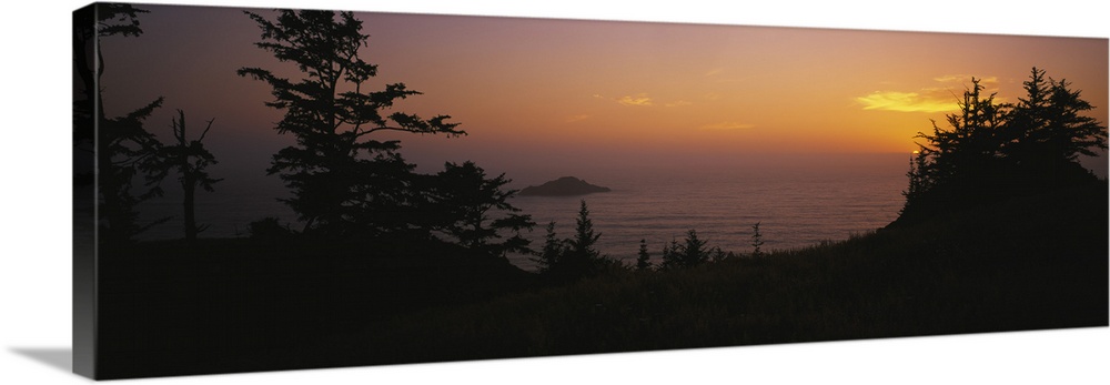 Silhouette of trees at sunset, Pacific Ocean, Boardman State Park, Oregon