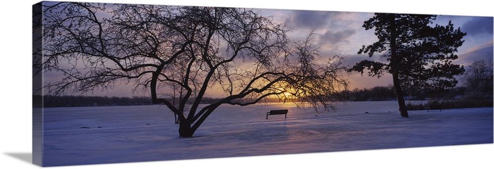 Silhouette of trees near a frozen lake, Reeds Lake, Grand Rapids, Michigan