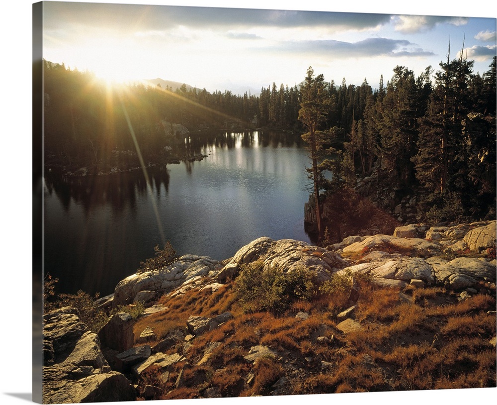 This resplendent wall art is a landscape photograph of the sun rising over the tree line in this North American wilderness.