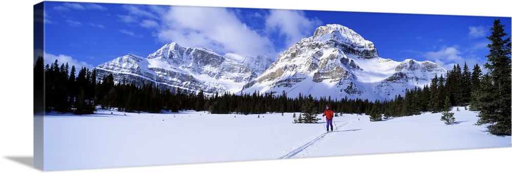 Skier Ptarmigan Peak Wall of Jericho Skoki Valley Banff National Park Alberta Canada