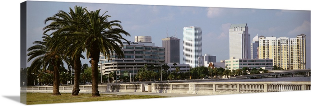 The skyline in Tampa is photographed from across the body of water that sits in front of it. Large palm trees line the lef...