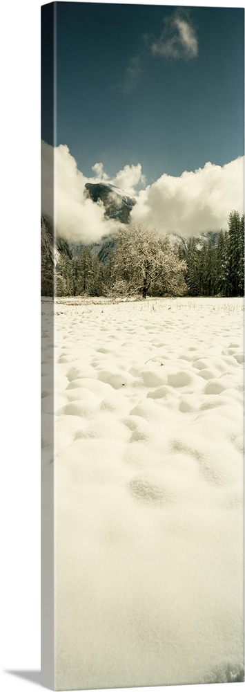 Snow covered landscape, Yosemite Valley, Yosemite National Park, Mariposa County, California