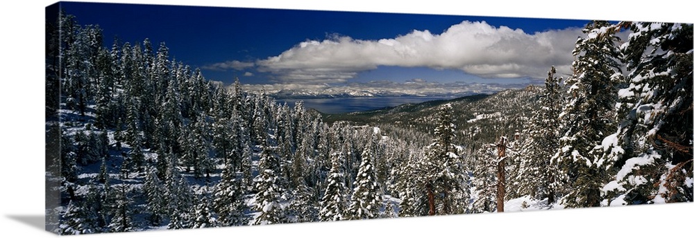 Panoramic photograph of snowy forest under a cloudy sky.