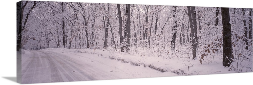 Snow covered road, Holland, Michigan