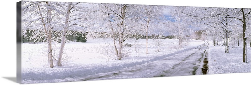 Snow covered road, Michigan | Great Big Canvas