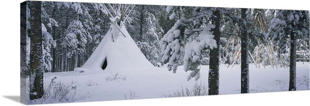 Snow Covered Teepee Banff National Park Canada