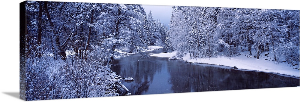 Snow covered trees along a river, Yosemite National Park, California,