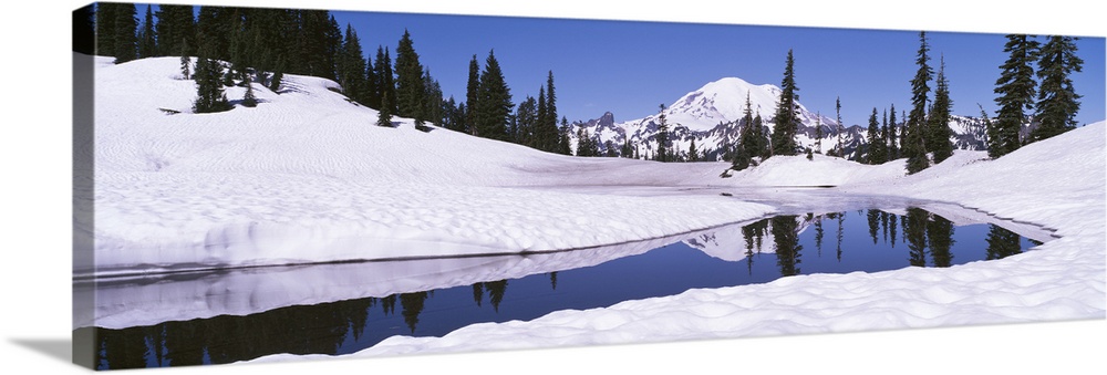 Snow on a landscape, Mt Rainier, Mt Rainier National Park, Washington State