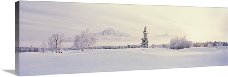 Snowy Farm Pioneer Peak Chugach Mountains Palmer AK Wall Art, Canvas ...