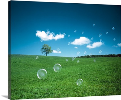 Soap bubbles floating over a field