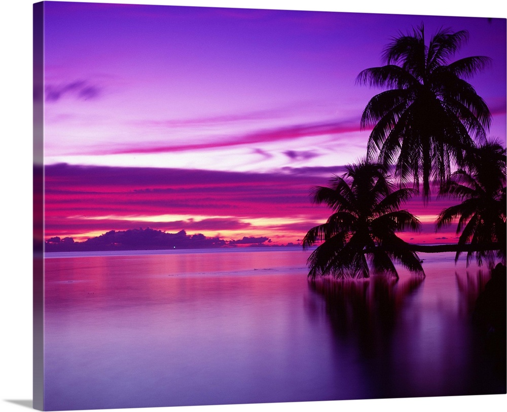 Canvas photo art of a peaceful ocean with big palm trees silhouetted against a bright sunset.