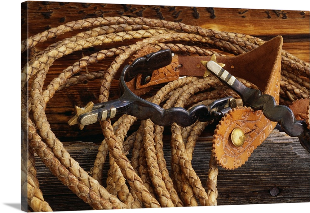 Horizontal canvas with rope curled up and cowboy equipment laying on top.