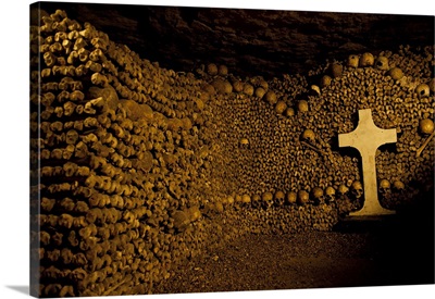 Stacked bones in catacombs, Paris, Ile de France, France